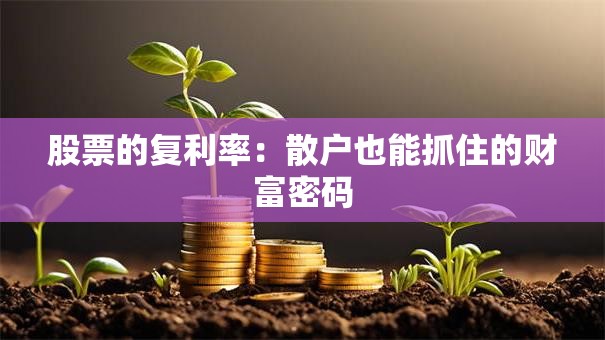 股票的复利率：散户也能抓住的财富密码