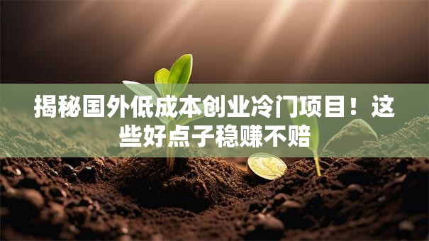 揭秘国外低成本创业冷门项目！这些好点子稳赚不赔
