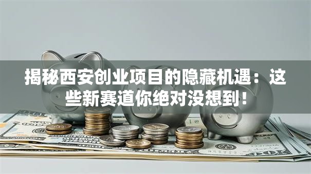揭秘西安创业项目的隐藏机遇：这些新赛道你绝对没想到！