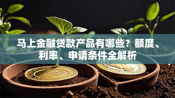 马上金融贷款产品有哪些？额度、利率、申请条件全解析