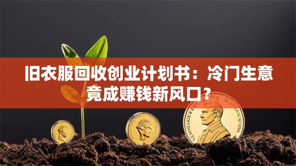 旧衣服回收创业计划书：冷门生意竟成赚钱新风口？
