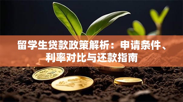 留学生贷款政策解析：申请条件、利率对比与还款指南