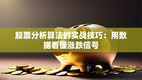 股票分析算法的实战技巧：用数据看懂涨跌信号