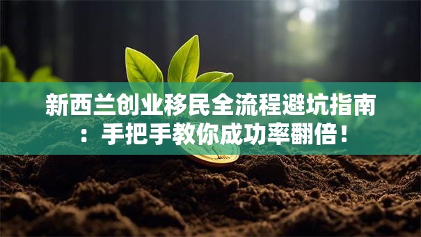 新西兰创业移民全流程避坑指南：手把手教你成功率翻倍！