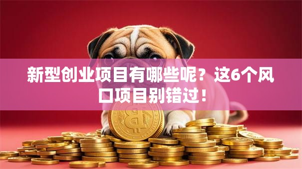 新型创业项目有哪些呢？这6个风口项目别错过！