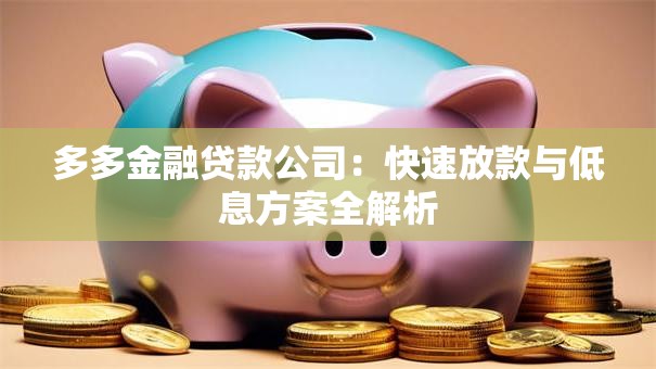 多多金融贷款公司：快速放款与低息方案全解析