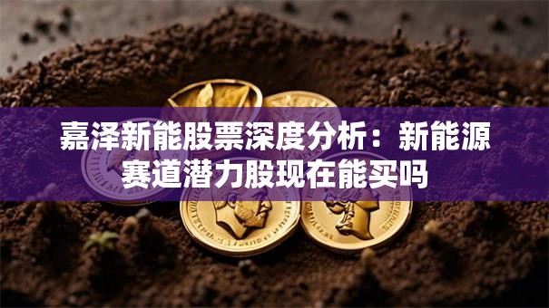嘉泽新能股票深度分析：新能源赛道潜力股现在能买吗