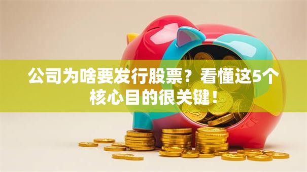 公司为啥要发行股票？看懂这5个核心目的很关键！