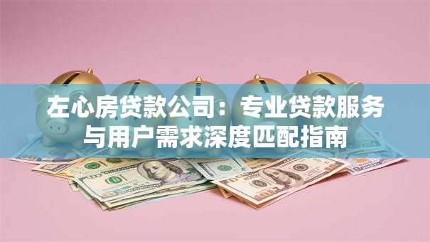 左心房贷款公司：专业贷款服务与用户需求深度匹配指南