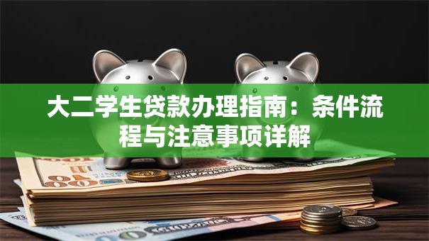 大二学生贷款办理指南：条件流程与注意事项详解