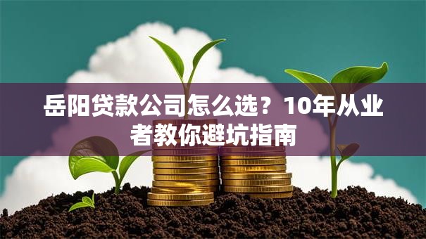 岳阳贷款公司怎么选？10年从业者教你避坑指南
