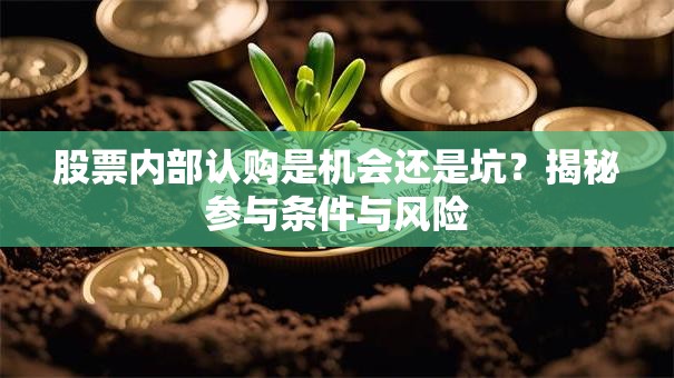 股票内部认购是机会还是坑？揭秘参与条件与风险