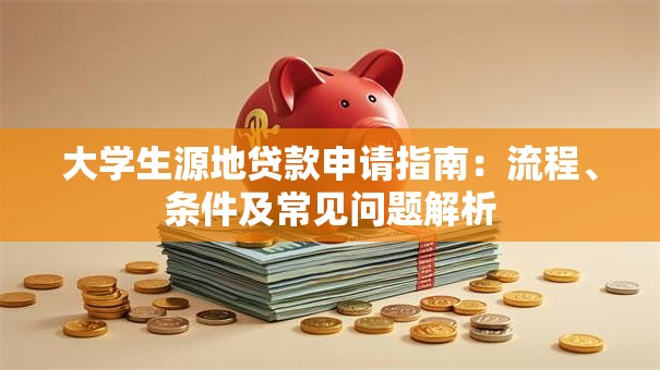 大学生源地贷款申请指南：流程、条件及常见问题解析