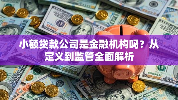 小额贷款公司是金融机构吗？从定义到监管全面解析