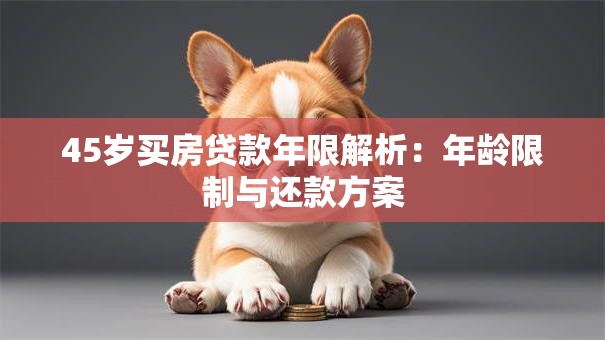 45岁买房贷款年限解析：年龄限制与还款方案