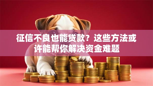 征信不良也能贷款？这些方法或许能帮你解决资金难题