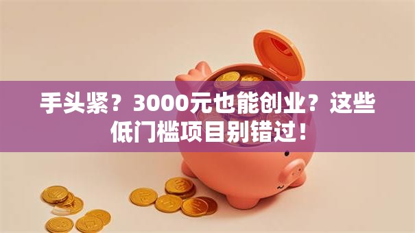 手头紧？3000元也能创业？这些低门槛项目别错过！