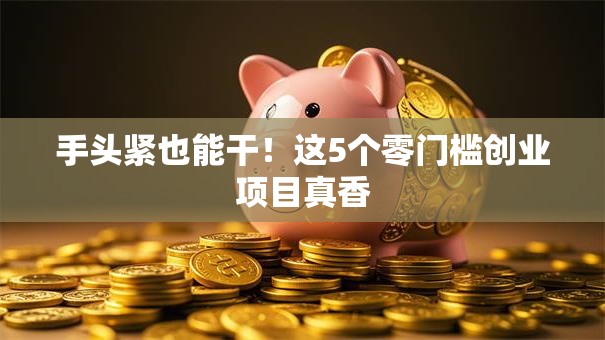 手头紧也能干！这5个零门槛创业项目真香
