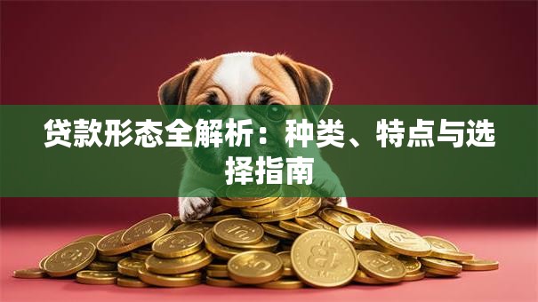 贷款形态全解析：种类、特点与选择指南