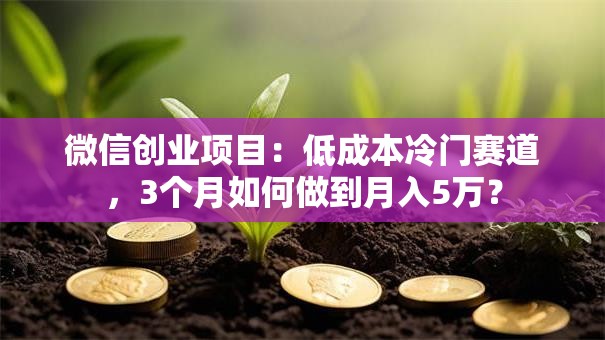 微信创业项目：低成本冷门赛道，3个月如何做到月入5万？