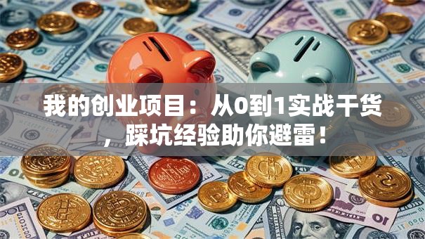 我的创业项目：从0到1实战干货，踩坑经验助你避雷！