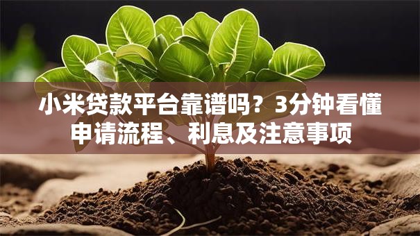 小米贷款平台靠谱吗？3分钟看懂申请流程、利息及注意事项