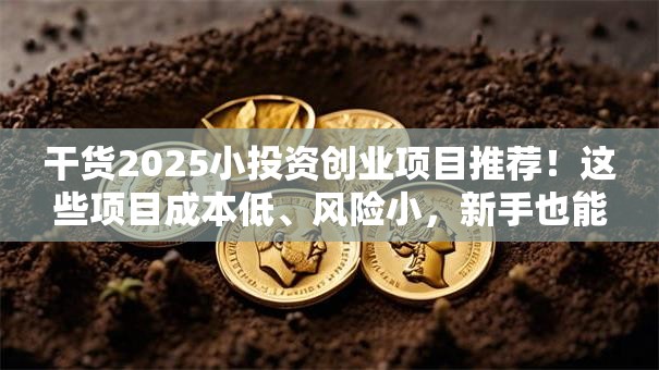 干货2025小投资创业项目推荐！这些项目成本低、风险小，新手也能轻松上手