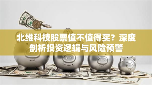 北维科技股票值不值得买？深度剖析投资逻辑与风险预警