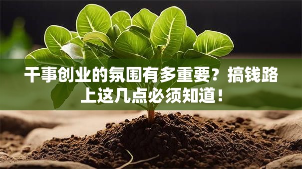 干事创业的氛围有多重要？搞钱路上这几点必须知道！