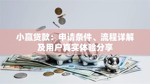 小赢贷款：申请条件、流程详解及用户真实体验分享