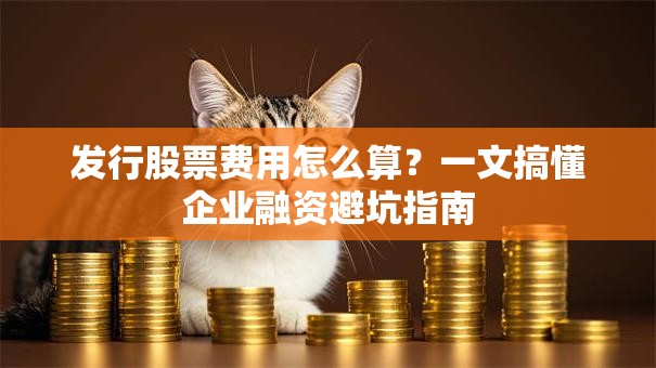 发行股票费用怎么算？一文搞懂企业融资避坑指南
