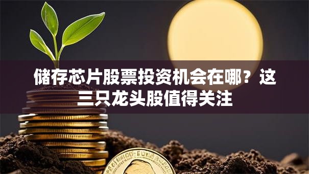 储存芯片股票投资机会在哪？这三只龙头股值得关注
