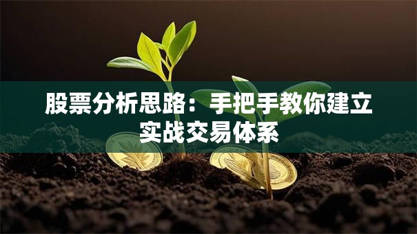 股票分析思路：手把手教你建立实战交易体系