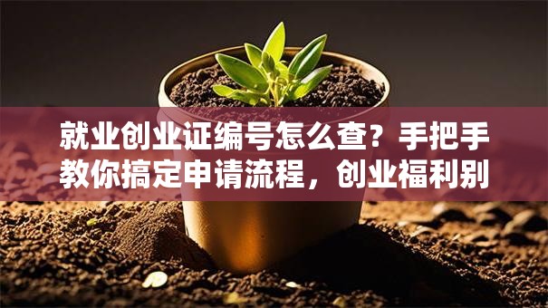 就业创业证编号怎么查？手把手教你搞定申请流程，创业福利别错过！