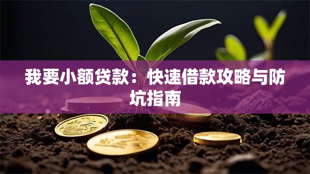 我要小额贷款：快速借款攻略与防坑指南