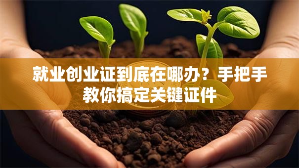 就业创业证到底在哪办？手把手教你搞定关键证件