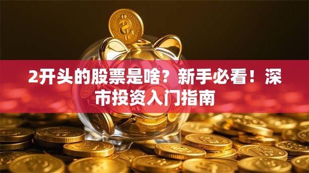 2开头的股票是啥？新手必看！深市投资入门指南