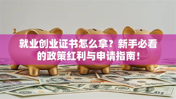 就业创业证书怎么拿？新手必看的政策红利与申请指南！