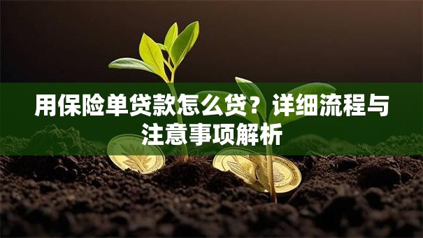 用保险单贷款怎么贷？详细流程与注意事项解析