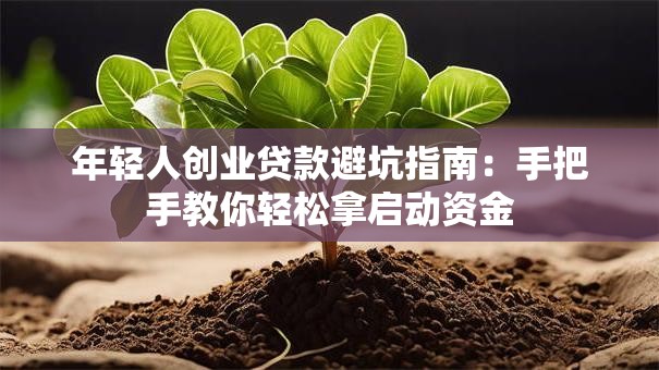 年轻人创业贷款避坑指南：手把手教你轻松拿启动资金