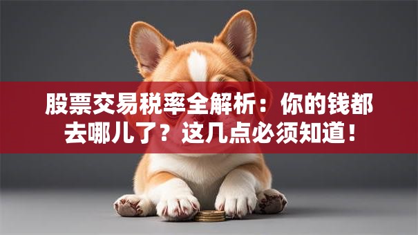 股票交易税率全解析：你的钱都去哪儿了？这几点必须知道！