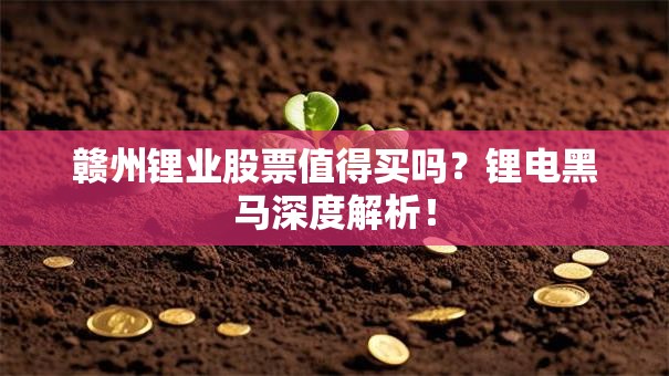 赣州锂业股票值得买吗？锂电黑马深度解析！