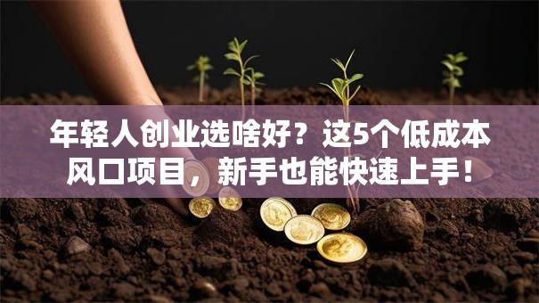 年轻人创业选啥好？这5个低成本风口项目，新手也能快速上手！