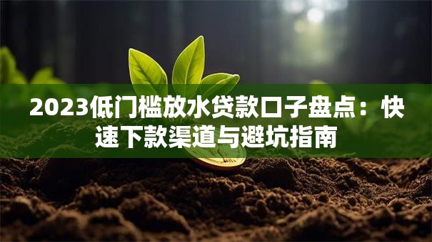 2023低门槛放水贷款口子盘点：快速下款渠道与避坑指南
