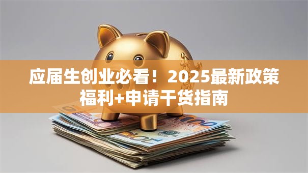 应届生创业必看！2025最新政策福利+申请干货指南