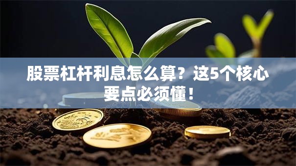 股票杠杆利息怎么算？这5个核心要点必须懂！