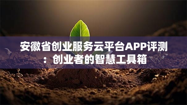 安徽省创业服务云平台APP评测：创业者的智慧工具箱