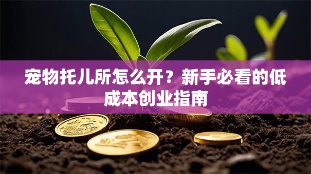 宠物托儿所怎么开？新手必看的低成本创业指南