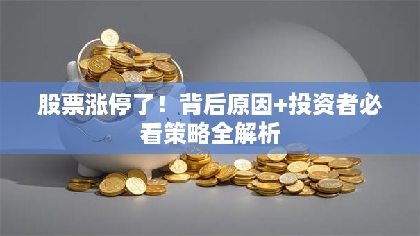 股票涨停了！背后原因+投资者必看策略全解析