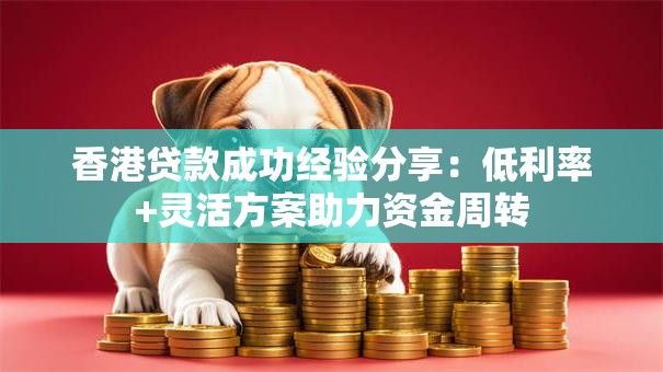 香港贷款成功经验分享：低利率+灵活方案助力资金周转